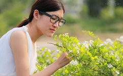 qvod在线伦理电影